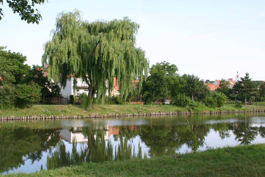 Penzion U Sklepu Hovorany Exterior foto